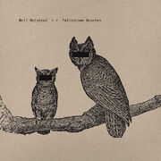 Neil-halstead-palindrome-hunches
