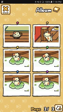 File:Peaches Lucky Cushion.jpg