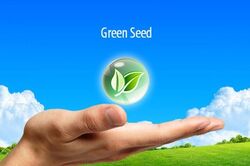 Green-Seed-00.jpg