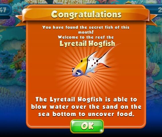 File:April-May--Lyretail Hogfish.jpg