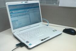 IMAG0148