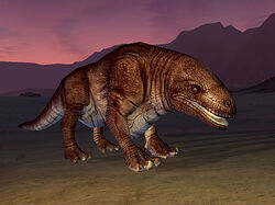 Dewback2