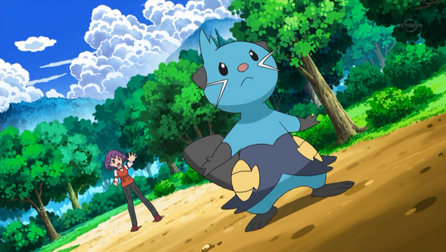 Plik:Cabernet Dewott.png