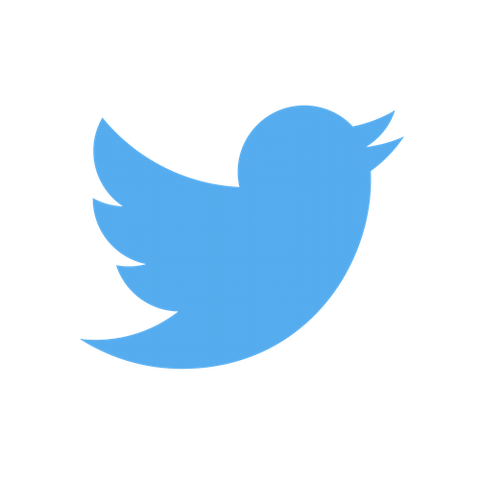 File:Twitter Icon.png