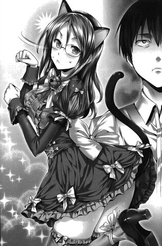 File:Light Novel v2 04.jpg