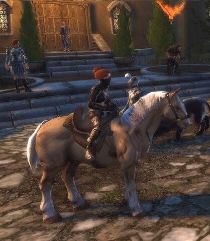 File:Palomino Horse.jpg