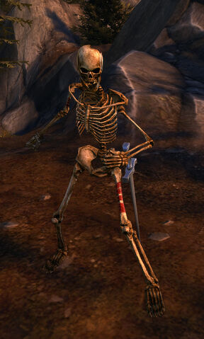 File:Skeleton Decrepit Skeleton.jpg