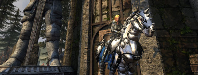 File:Oathbound-Paladin-2.jpg