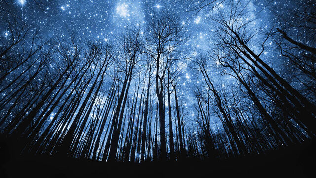 File:StarClan.jpg