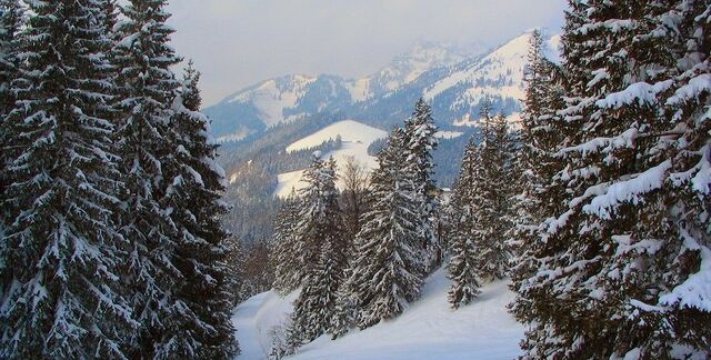 File:AlpineClan.jpg