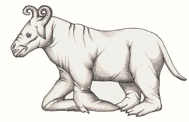 File:Hippoturtleox, Tim Morris.jpg