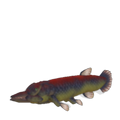 Thumbnail for version as of 05:33, November 29, 2013