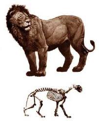 File:Загруженное (52).jpg
