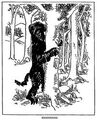 Thumbnail for version as of 18:09, December 8, 2013