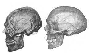 File:Загруженное (7).jpg
