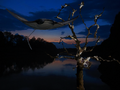 Thumbnail for version as of 16:24, December 29, 2013