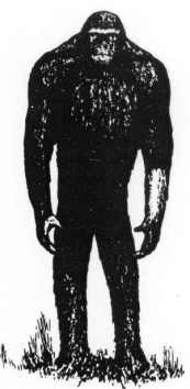 File:Mecheny.jpg