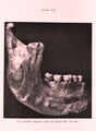 Thumbnail for version as of 19:14, December 10, 2013