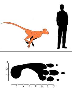 File:Devil-monkey-tall2.jpg