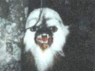 File:Abbagoochie.jpg
