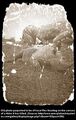Thumbnail for version as of 13:54, December 31, 2013