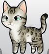 BengalGray