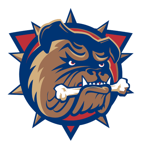 File:Ahl hamilton.png