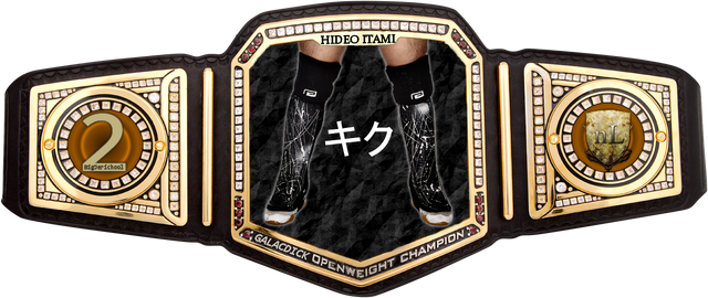 File:HideoBelt.png