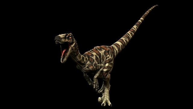 File:Snakeskin Novaraptor.jpg