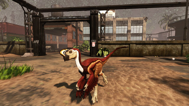 File:Oviraptor pic 2.jpg