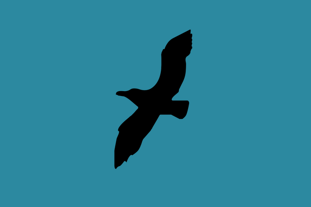 File:Northern Flag.png
