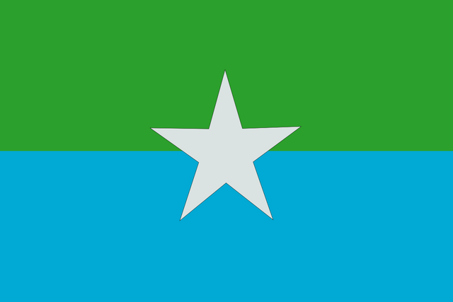 File:Reefs Flag.png