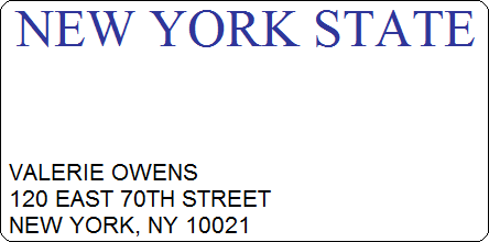 File:NY Driver's License.png