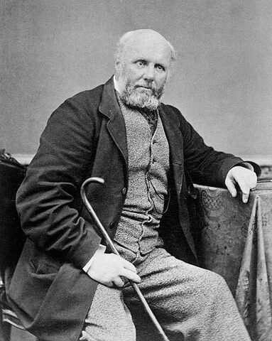File:Alfred Domett.jpg