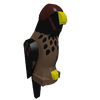 Falconer1Falcon