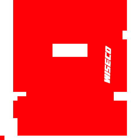 File:NFSCPS2Demo VinylAftermarketWiseco.png