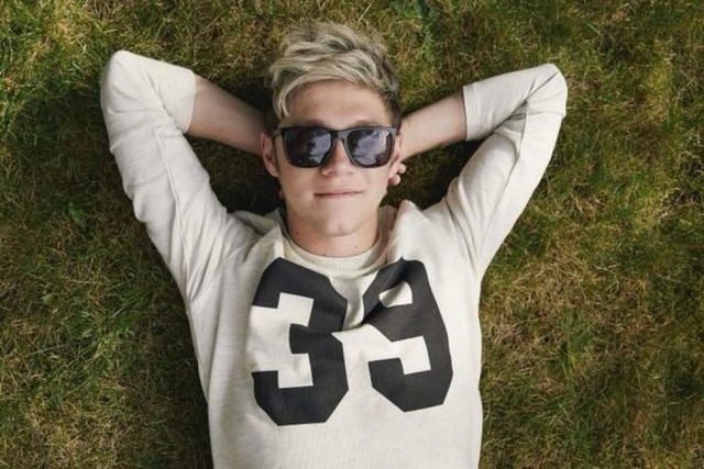 File:Mainpage-About-Niall.png