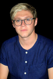 Niall Horan Portrait