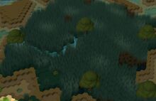 Grassland 2