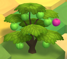 Berry Bush