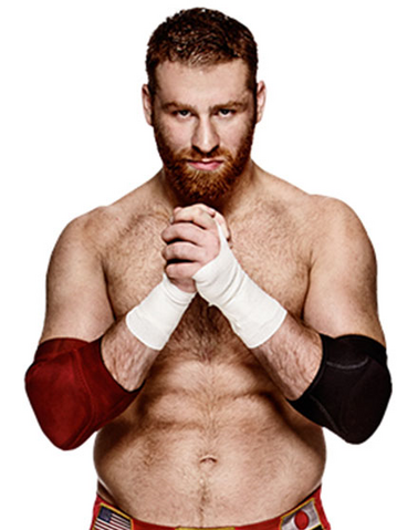 File:Sami Zayn.png