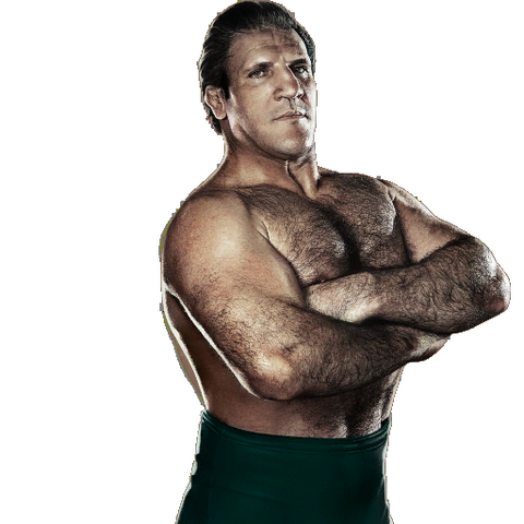 File:Bruno Sammartino.png