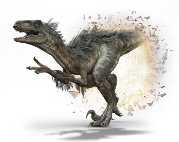Fichier:Utahraptor.jpg