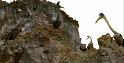 1x3Hesperornis.png