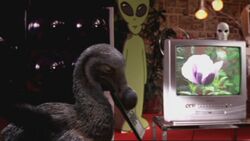 Episode1x4Dodo87.jpg