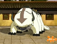 300px-Appa 2.png