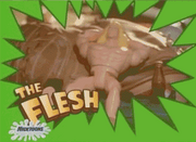 The Flesh