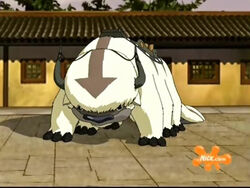 Appa.jpg