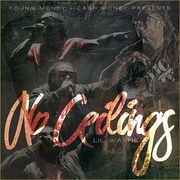 Noceilings