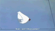 Flying Panties